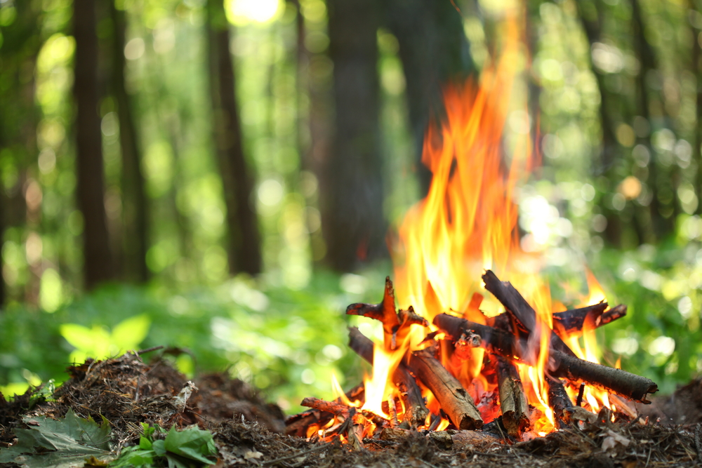 5 Dicas Para Construir Uma Fogueira No Acampamento Go Outside