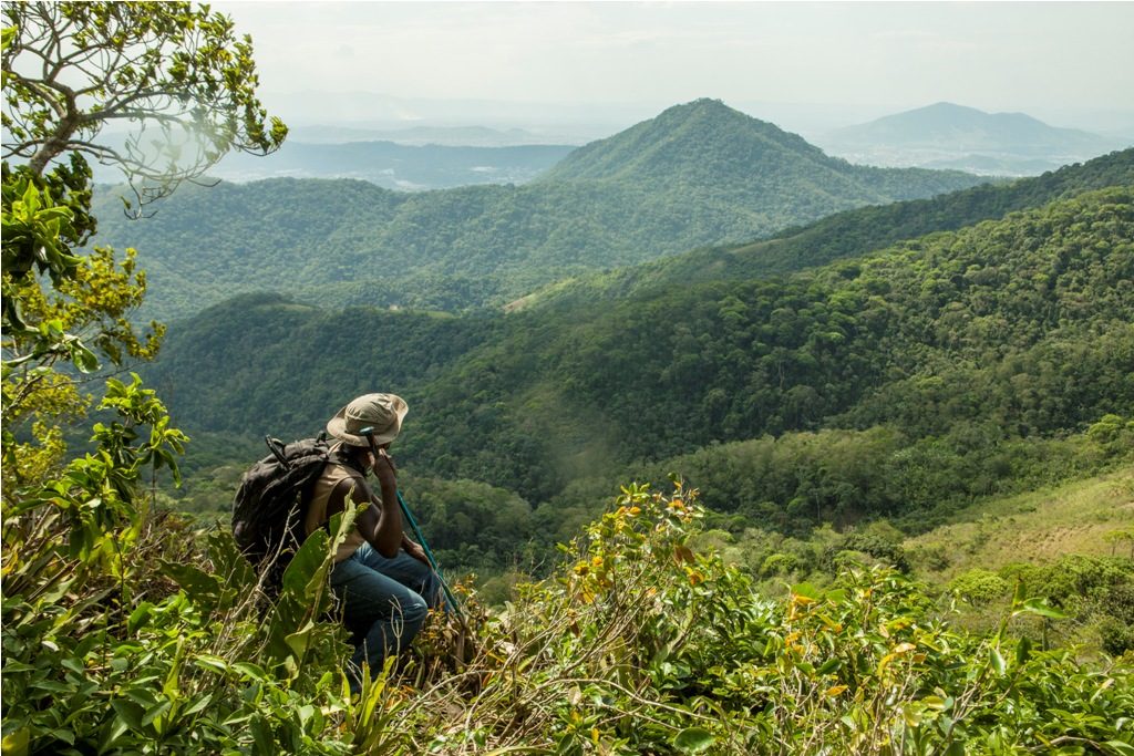 Conheça as 7 trilhas mais lindas do Brasil