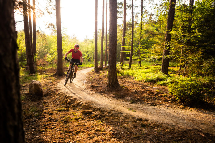 8 dicas para iniciantes no mountain bike | Go Outside