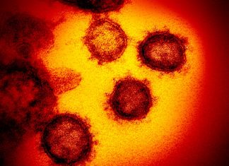 dúvidas sobre coronavírus