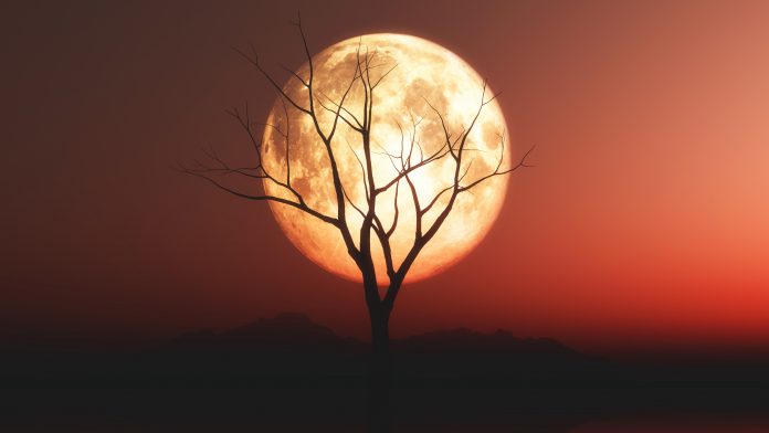Eclipse lunar total com Lua de Sangue poderá ser visto no Brasil