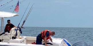 Pescador cai em cima de baleia que bateu em seu barco