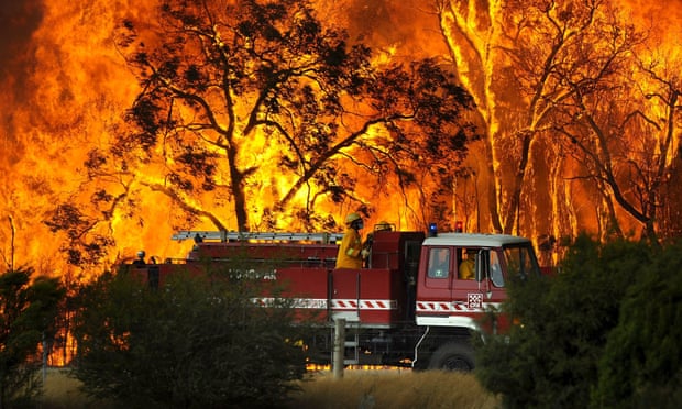 Cenário ambiental pode prolongar duração e intensidade de incêndios em áreas importantes para o ecossistema da Austrália