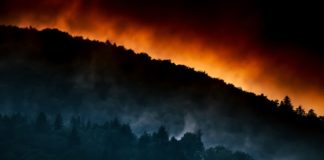 Número de incêndios florestais em SP é o maior em 10 anos
