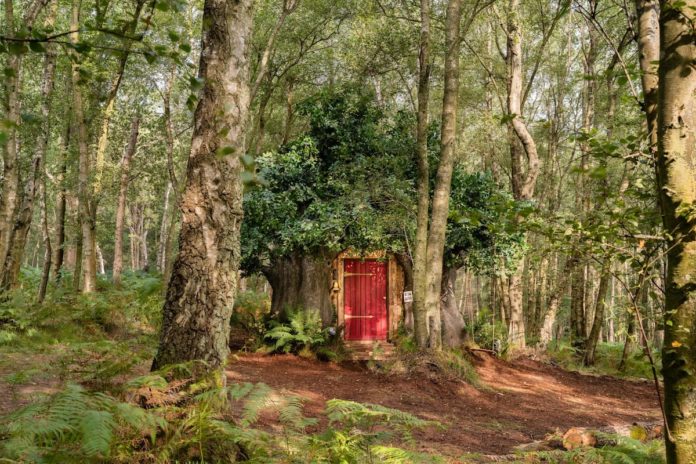 Casa do Ursinho Pooh ganha vida em Airbnb