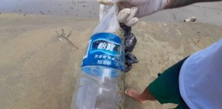 Lixo da Europa, Ásia e Oriente Médio chega às praias de SP