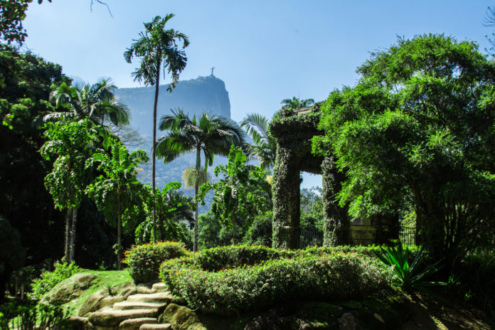 Jardim Botânico do Rio de Janeiro terá visitas noturnas