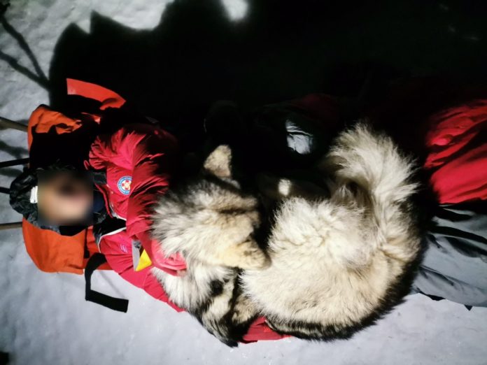 Cachorro salva alpinista ferido mantendo-o aquecido por 13 horas na neve | Go Outside