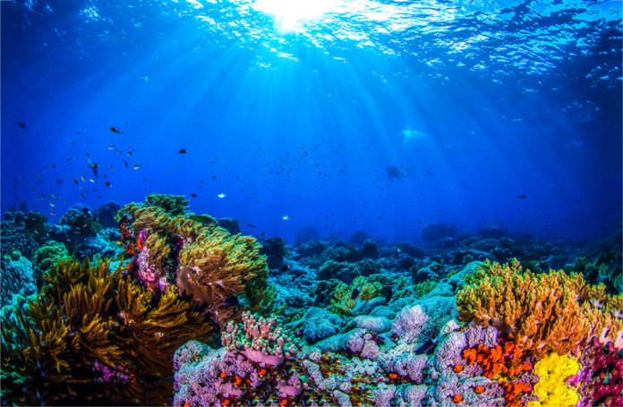 Calor dos oceanos bate recordes em 2021, alerta estudo | Go Outside