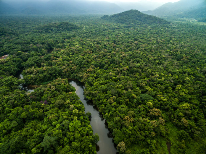 Amazônia terá sistema de dados sobre gases de efeito estufa | Go Outside