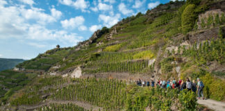 Trilha e vinho: 5 destinos vinícolas para combinar rotas - Go Outside