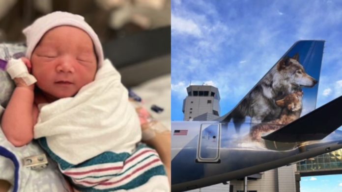 Aeromoça ajuda em parto e bebê nasce em banheiro de avião durante voo - Go Outside