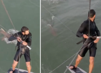 surfista perseguido tubarão