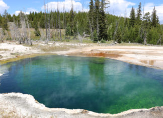 Pé humano é encontrado flutuando em fonte termal de Yellowstone - Go Outside