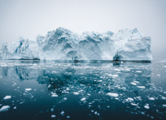 Camada de gelo marinho na Antártica caiu para níveis recordes em julho - Go Outside