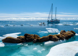 Velejador Aleixo Belov e tripulação enfrentam o mar gélido do Oceano Ártico
