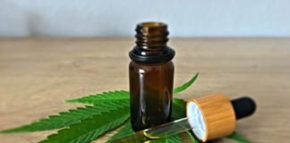 Anvisa autoriza fabricação de novo medicamento à base de cannabis - Go Outside