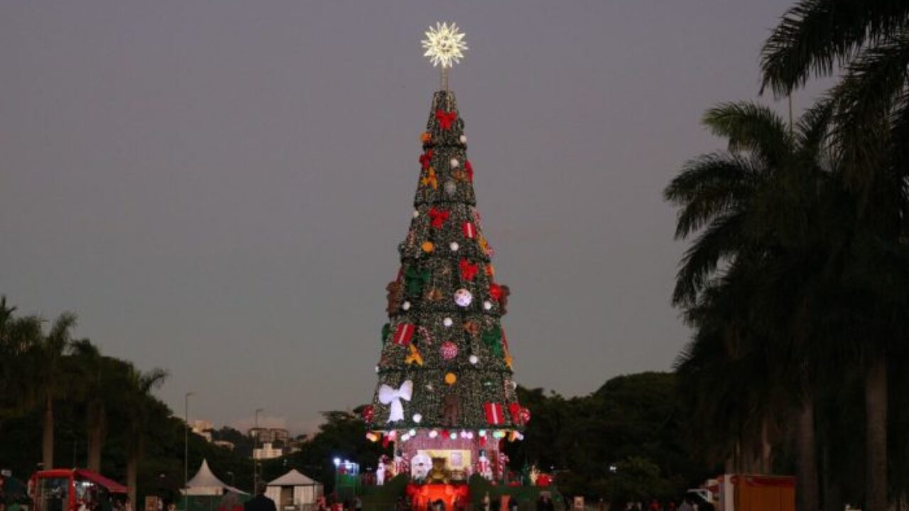 Parque Villa-Lobos tem árvore de Natal com 52 m de altura