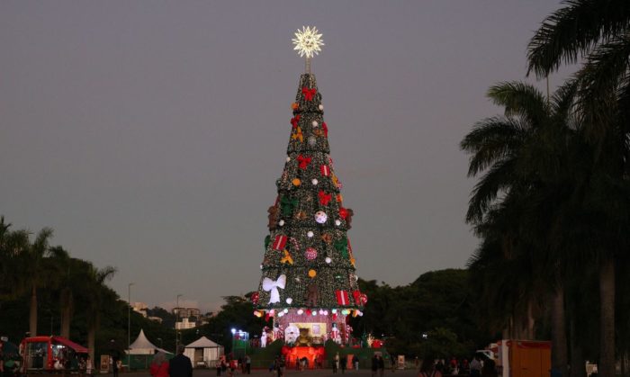 Parque Villa-Lobos tem árvore de Natal com 52 m de altura