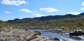 Dia Mundial da Água: Cerrado pode perder quase 34% da água até 2050