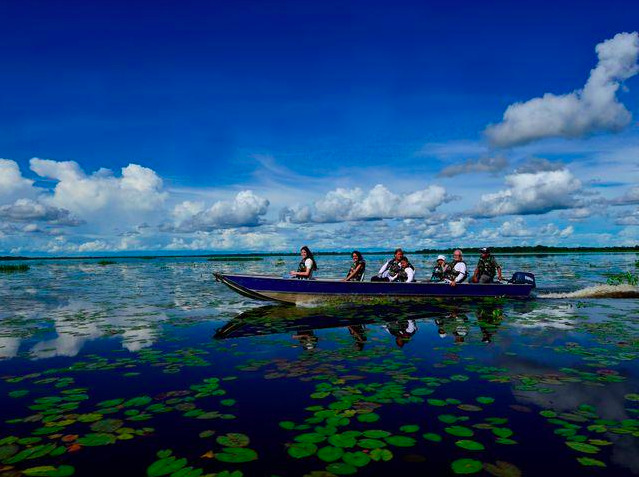 O Que Fazer no Pantanal? 17 Passeios e Atrações em 2023