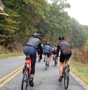 VÍDEO: Veado 'voa' por cima de grupo de ciclistas em estrada dos EUA