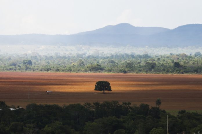 1057803-ebc_07.12.2016-3183_07.12.16 Área desmatada do Cerrado